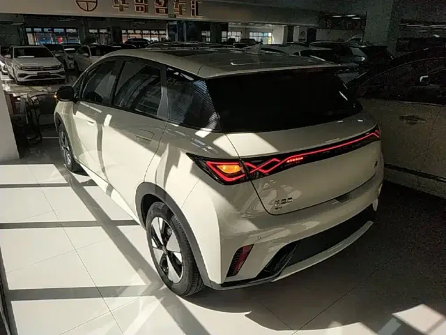 BYD Dolphin — Фото автомобиля 4