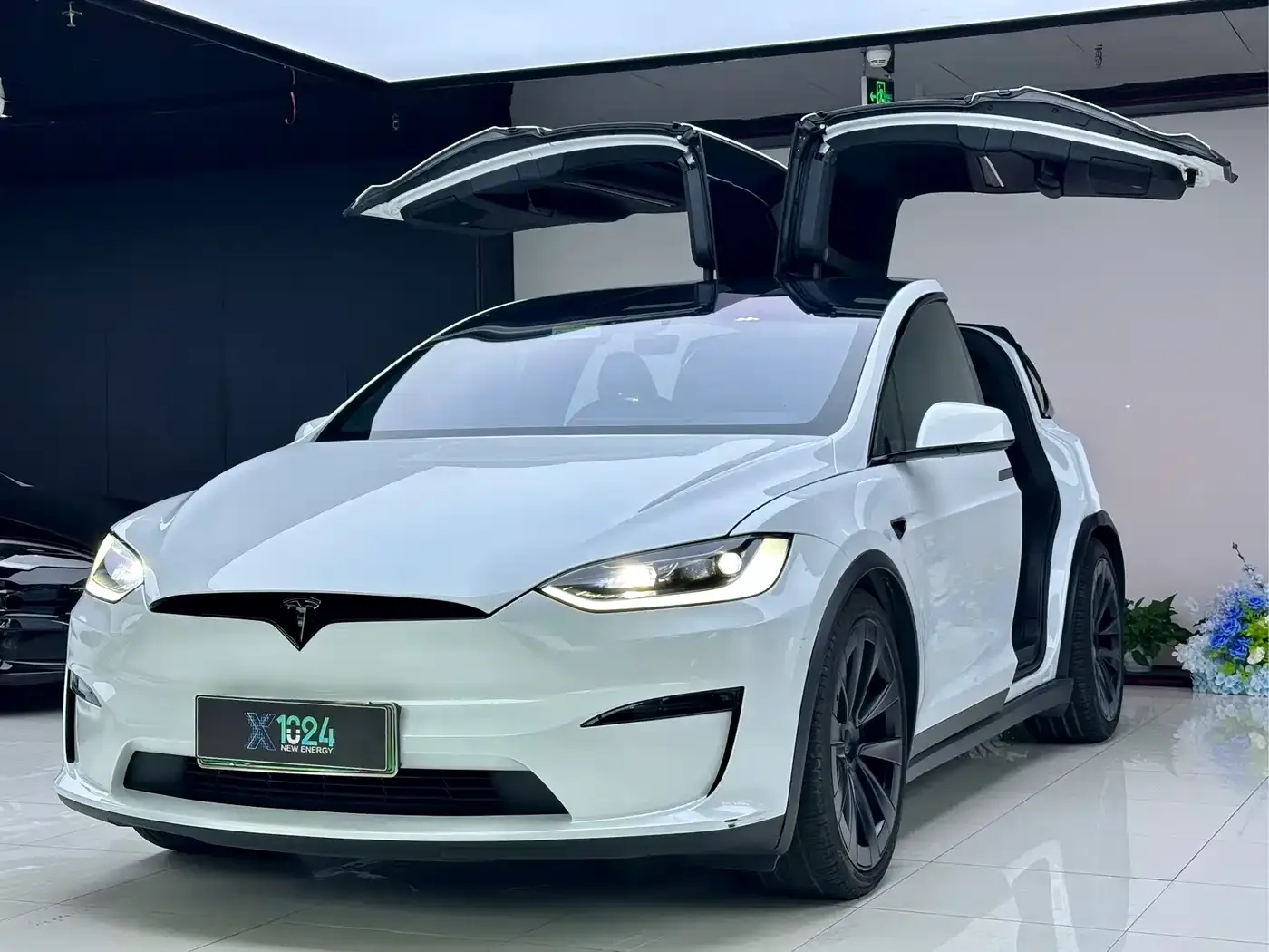 Фотография автомобиля — Tesla Model X