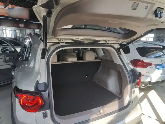 Haval Big Dog — Фото автомобиля 18