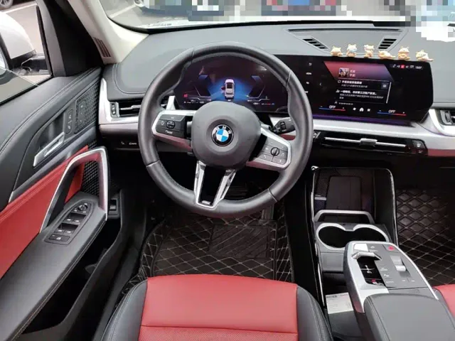 BMW X1 — Фото автомобиля 10