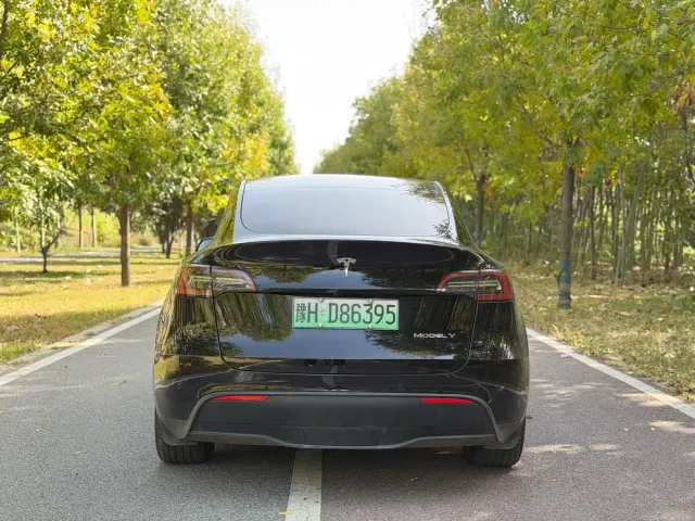Tesla Model Y — Фото автомобиля 8