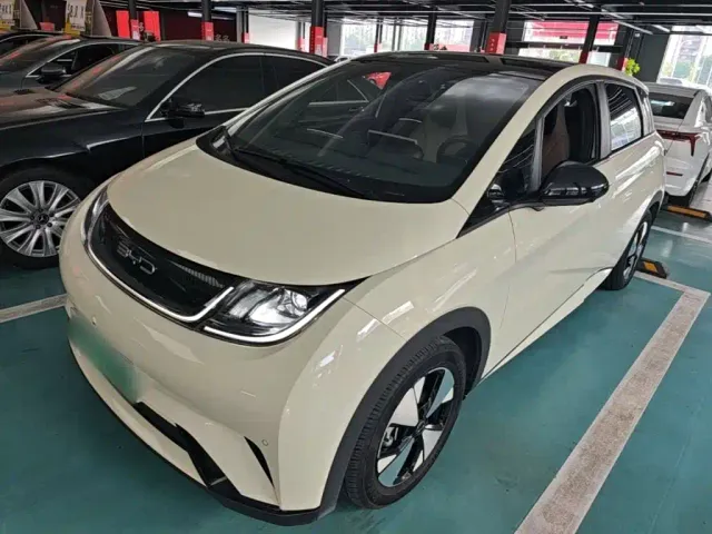 Фотография автомобиля — BYD Dolphin