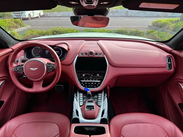 Aston Martin DBX — Фото автомобиля 17