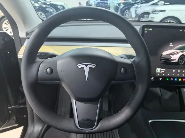 Tesla Model Y — Фото автомобиля 5