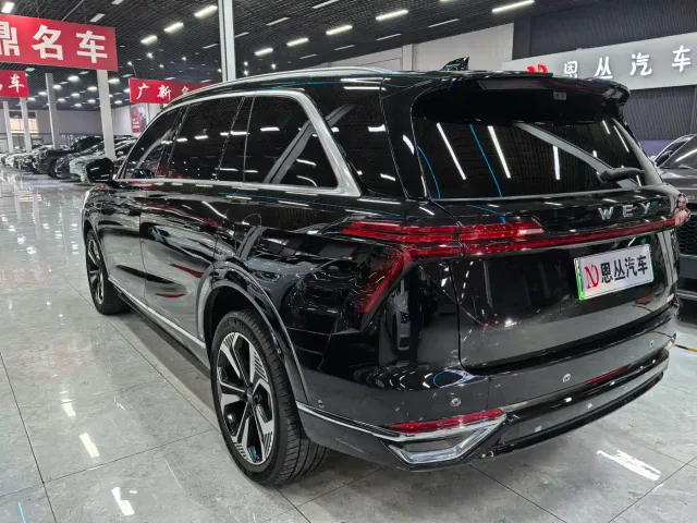 Wey Lanshan — Фото автомобиля 10