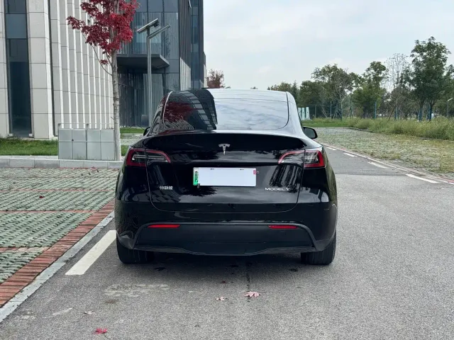 Tesla Model Y — Фото автомобиля 5