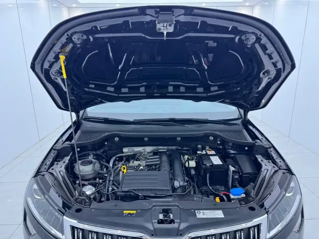 Skoda Karoq — Фото автомобиля 17