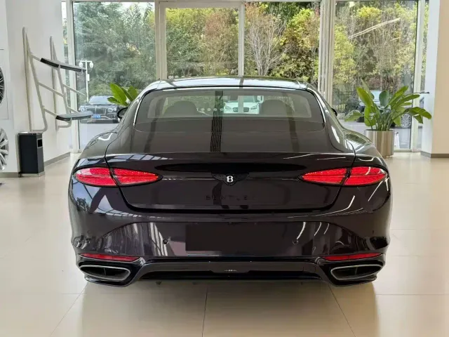 Bentley Continental — Фото автомобиля 8