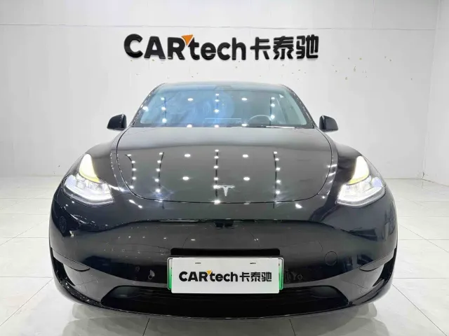 Tesla Model Y — Фото автомобиля 2