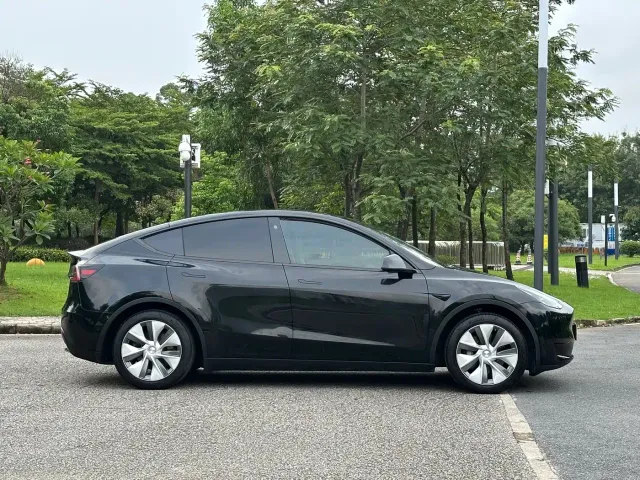 Tesla Model Y — Фото автомобиля 4