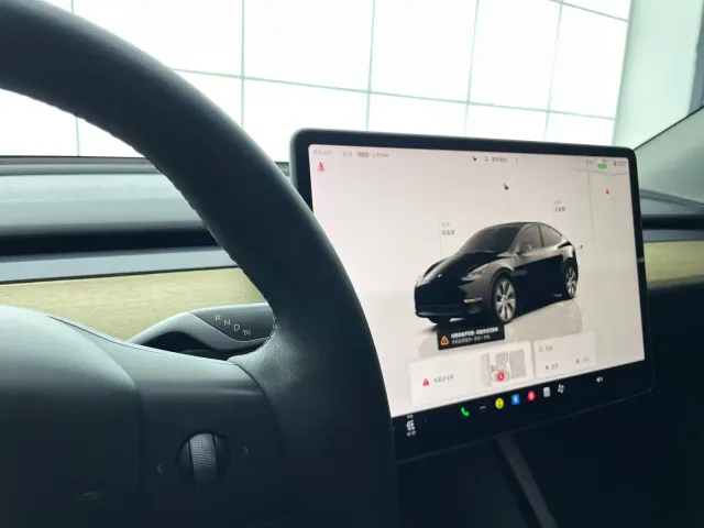 Tesla Model Y 2021 Standard Range Rear-Wheel Drive — Фото автомобиля 8