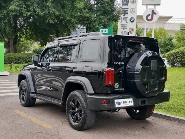 Tank Tank 300 2021 Off-road Version 2.0T Conqueror — Фото автомобиля 4