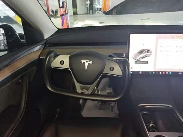 Tesla Model Y — Фото автомобиля 10