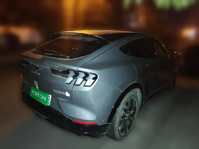 Ford Mustang Mach-E — Фото автомобиля 6