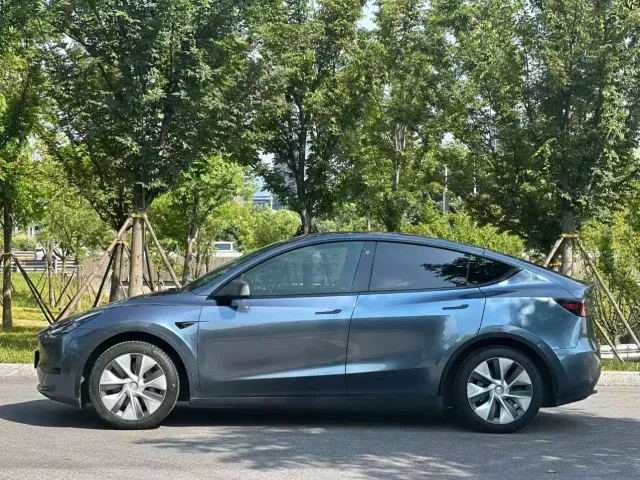 Tesla Model Y — Фото автомобиля 4