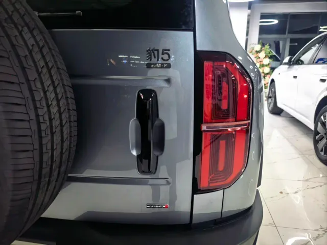 BYD FangChengBao Leopard 5 — Фото автомобиля 19