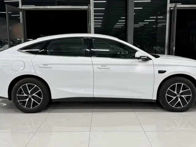 BYD Qin L — Фото автомобиля 24