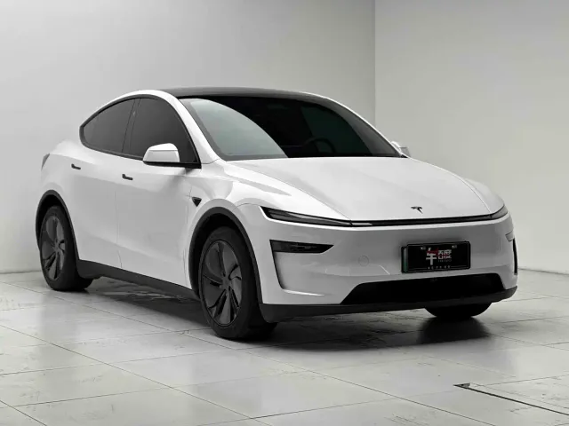 Tesla Model Y — Фото автомобиля 3