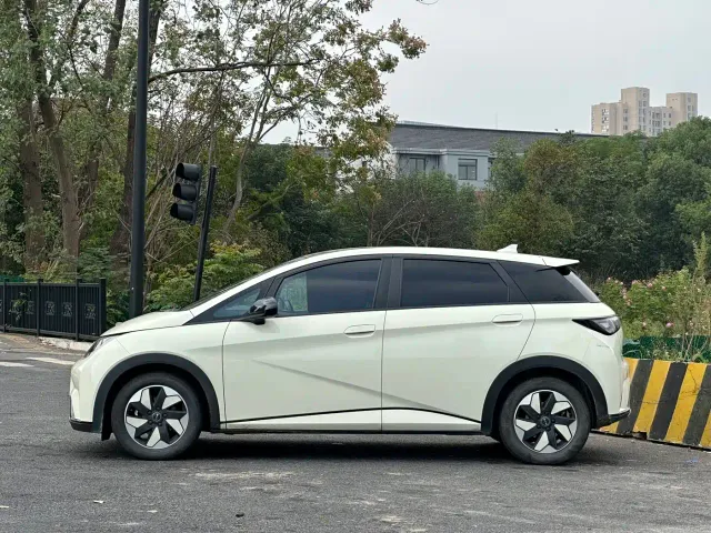 BYD Dolphin — Фото автомобиля 4