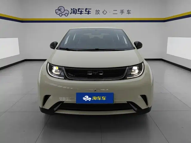 BYD Dolphin — Фото автомобиля 2