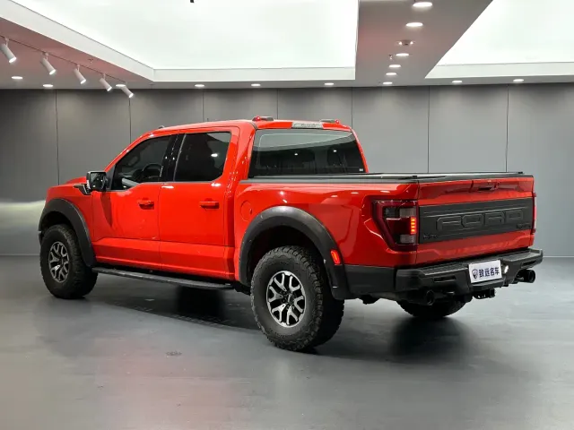 Ford F-150 Raptor — Фото автомобиля 6