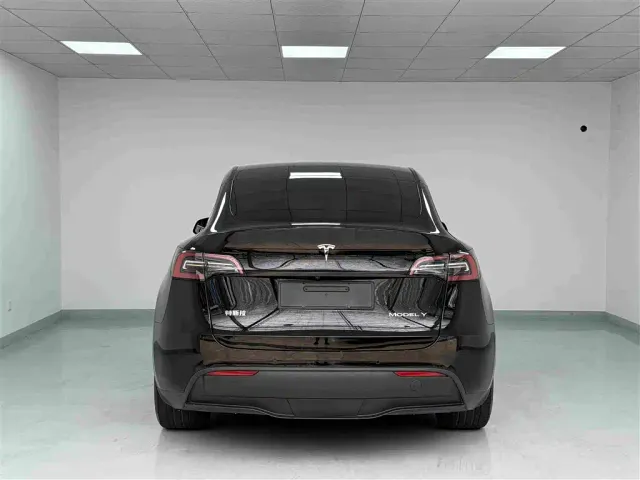 Tesla Model Y — Фото автомобиля 20