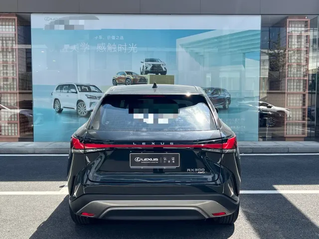 Lexus RX — Фото автомобиля 9