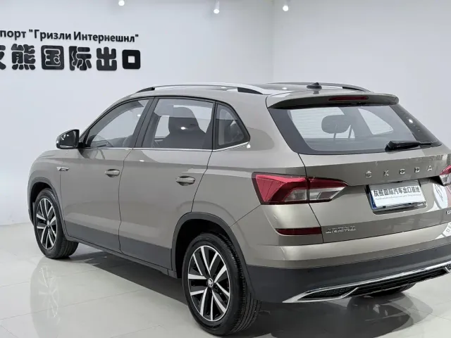 Skoda Kamiq — Фото автомобиля 6