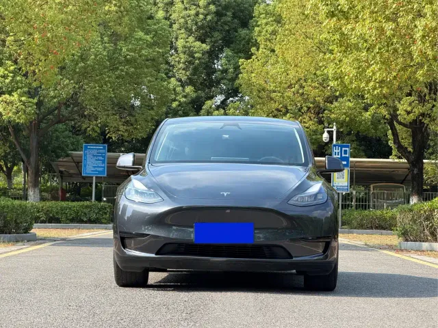 Tesla Model Y — Фото автомобиля 2