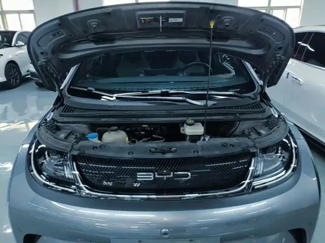 BYD Dolphin — Фото автомобиля 19