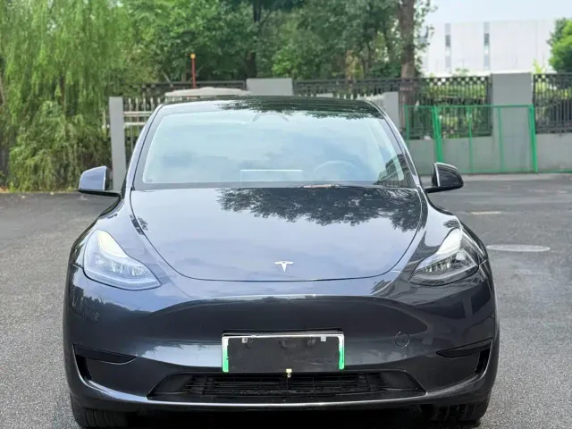 Tesla Model Y — Фото автомобиля 2