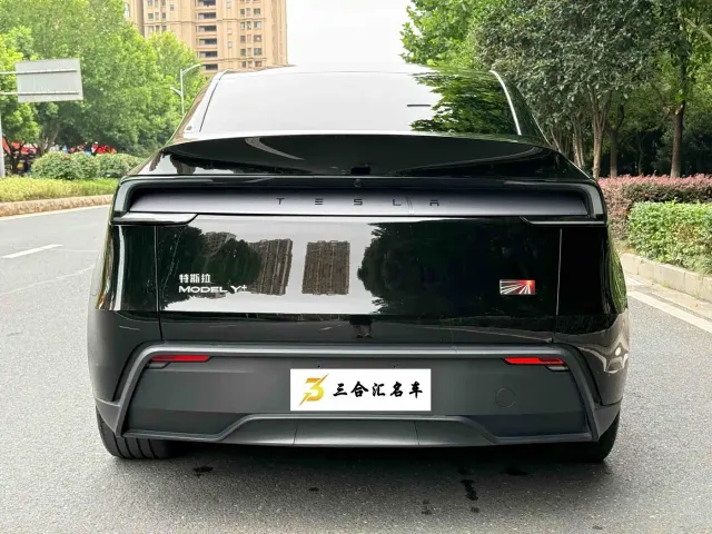 Tesla Model Y — Фото автомобиля 9