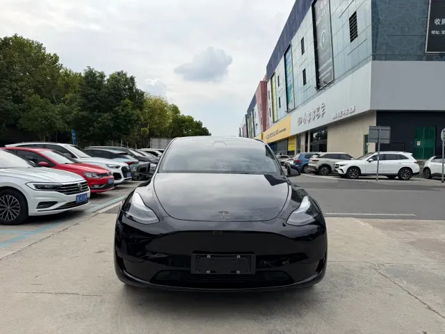 Tesla Model Y — Фото автомобиля 2