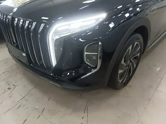 Hongqi HS7 PHEV — Фото автомобиля 23