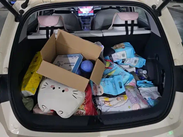 Geely Starry Wish — Фото автомобиля 4