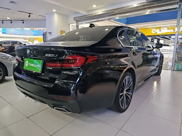 BMW 5 Series — Фото автомобиля 6