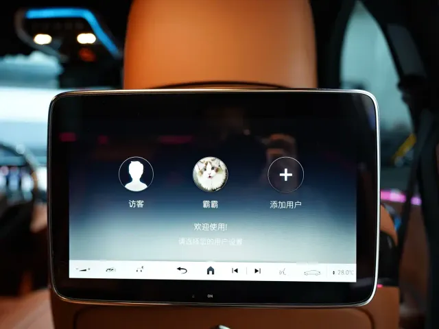 Mercedes-Benz Maybach S-Class — Фото автомобиля 14