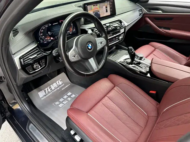 BMW 5 Series — Фото автомобиля 10