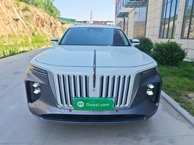 Hongqi E-HS9 — Фото автомобиля 2