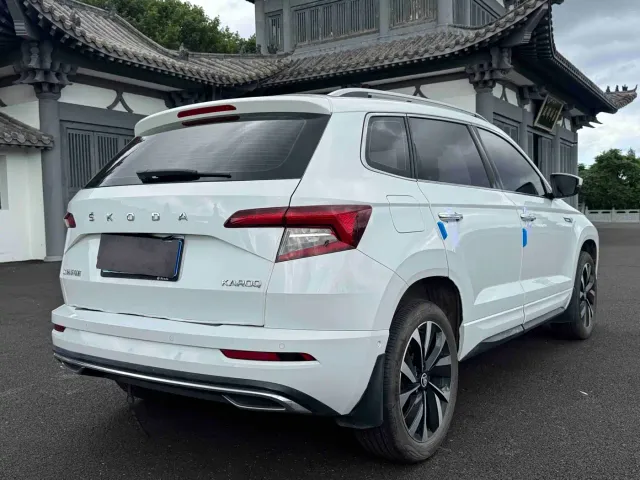 Skoda Karoq — Фото автомобиля 6