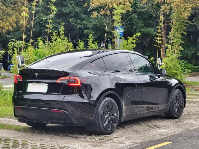 Tesla Model Y — Фото автомобиля 14