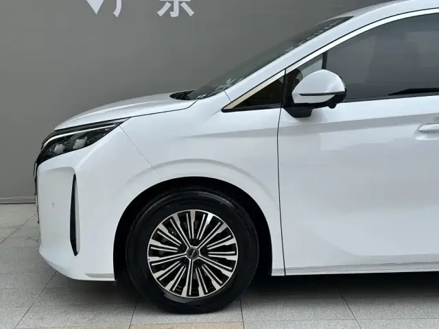 BYD M9 — Фото автомобиля 5