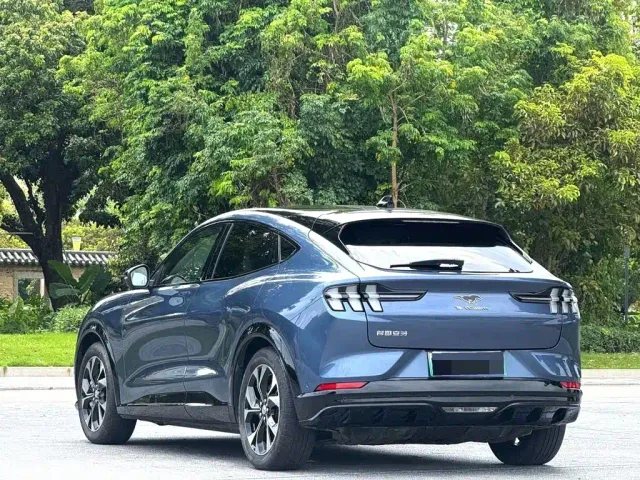 Ford Mustang Mach-E — Фото автомобиля 4
