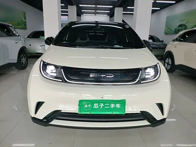 BYD Dolphin — Фото автомобиля 2