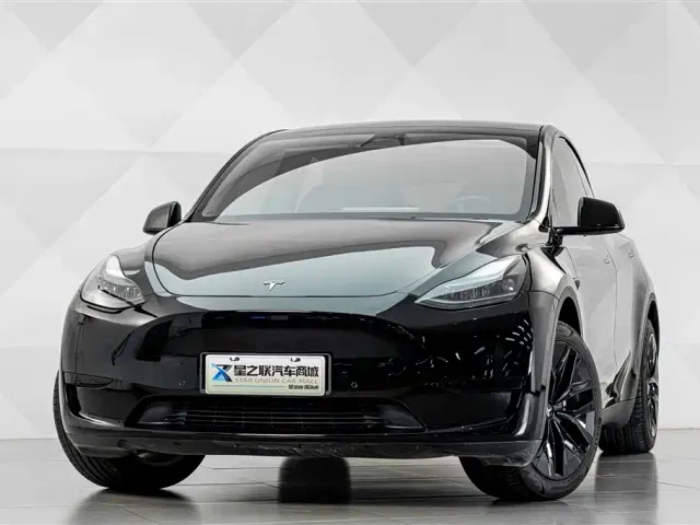 Tesla Model Y — Фото автомобиля 3
