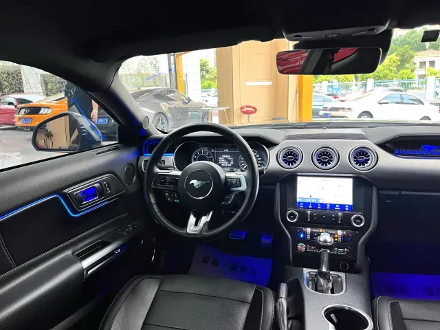 Ford Mustang — Фото автомобиля 21
