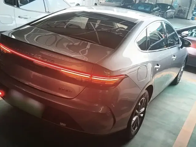 BYD Destroyer 05 2024 Glory Edition DM-i 55KM Luxury — Фото автомобиля 6