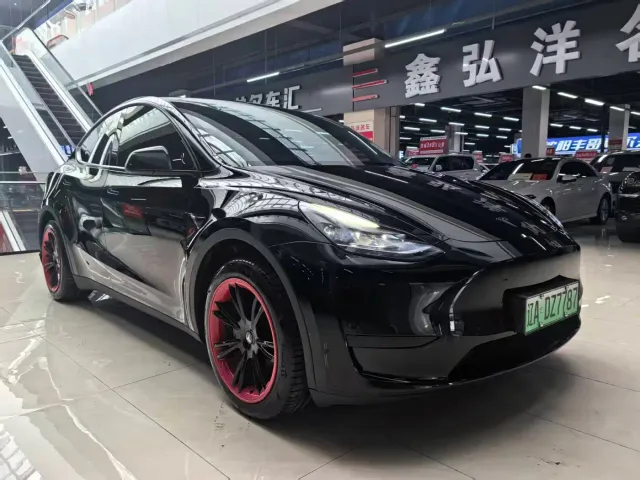 Tesla Model Y — Фото автомобиля 3