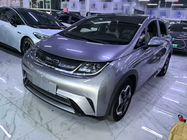 Фотография автомобиля — BYD Dolphin