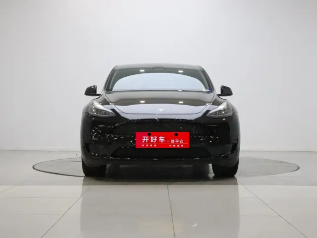 Tesla Model Y — Фото автомобиля 2